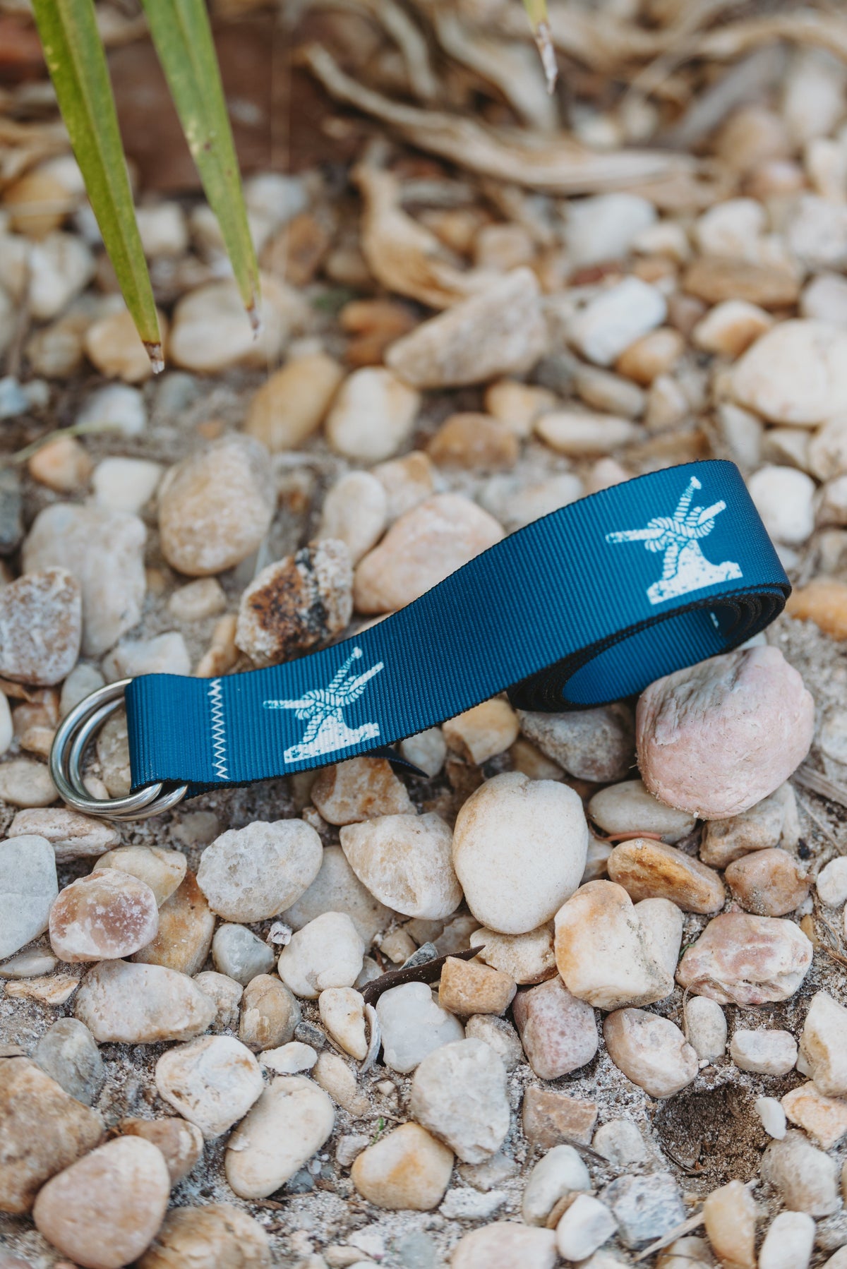 Bitter End D-Ring Ribbon Belt-Accessories-Bitter End Provisions