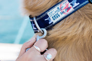 Sound Hound Dog Collar-Accessories-Bitter End Provisions