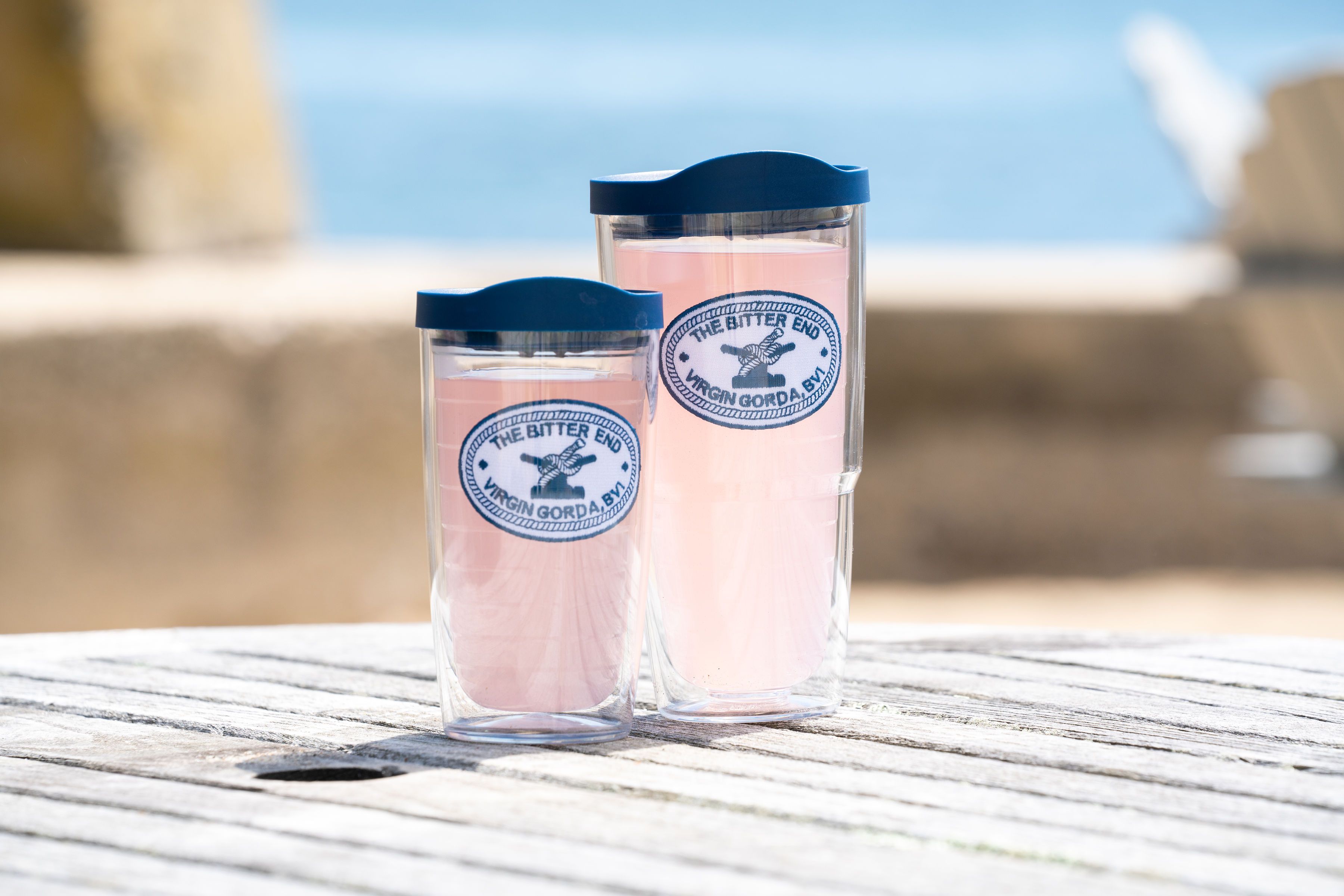 Bitter End Tervis Tumblers-Accessories-Bitter End Provisions